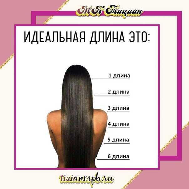 Нормальная длина волос на голове