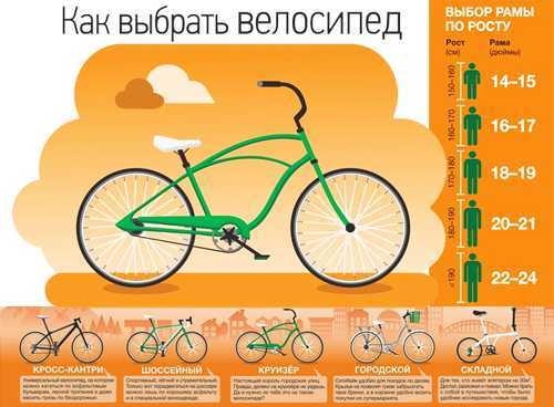 Езда на велосипеде — плюсы и минусы для человека