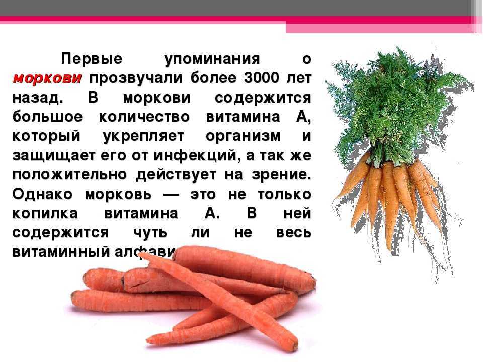 Можно есть морковь на ночь