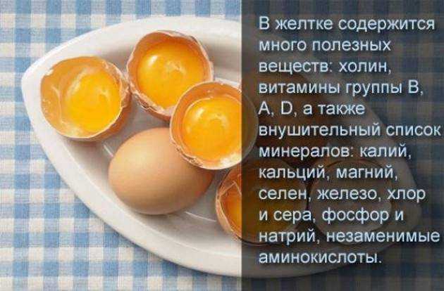 Польза витаминов и минералов - необходимые для здоровья витамины и минералы - agulife.ru