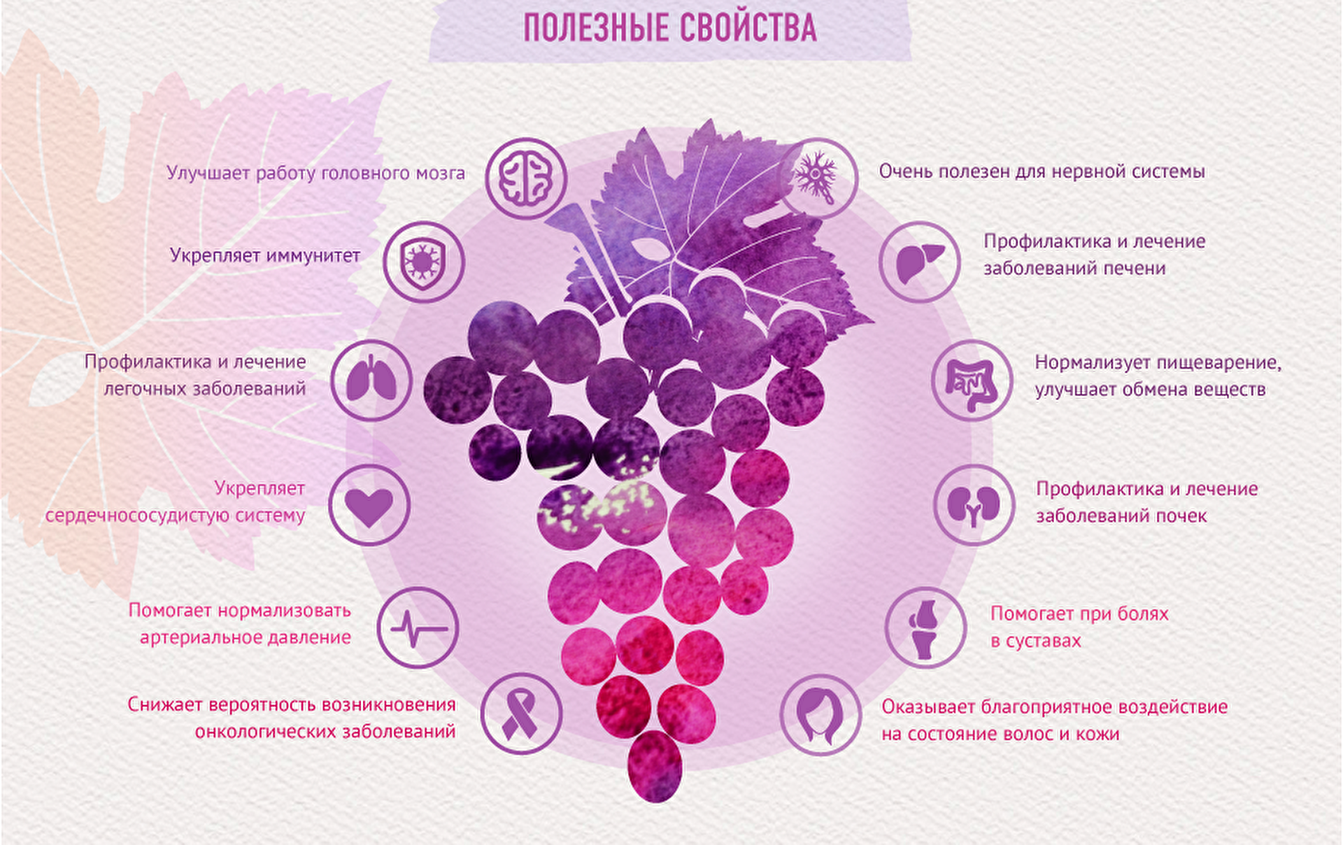 Многие кардиологи советуют пациентам полюбить виноград: как есть ягоду правильно