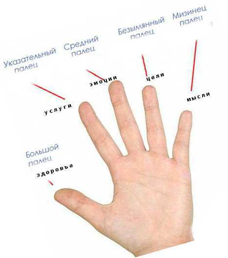 Глава 8. психологический анализ изображения рук