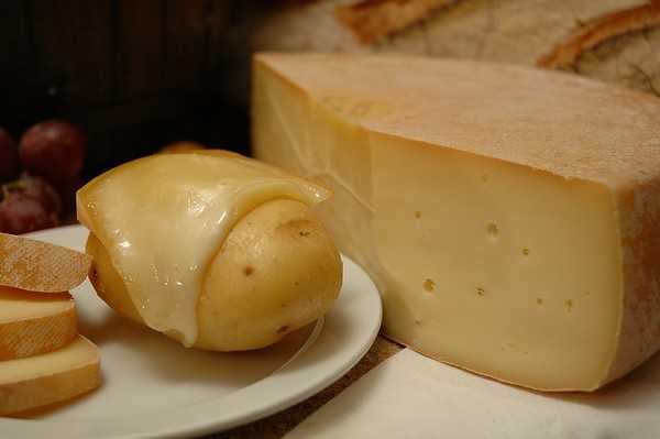 Макароны с сыром: 8 разных простых рецептов