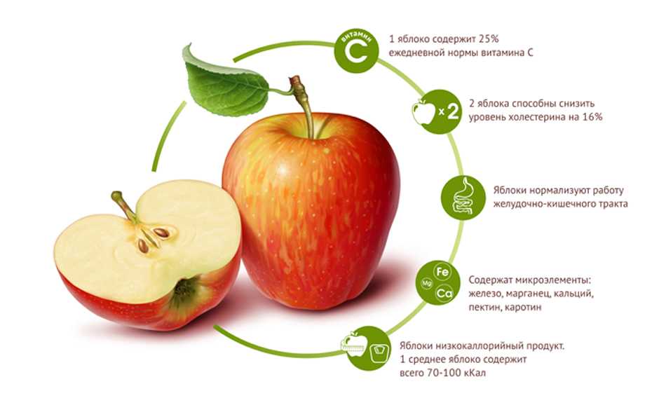 Яблоко: сорта, польза и калорийность | food and health