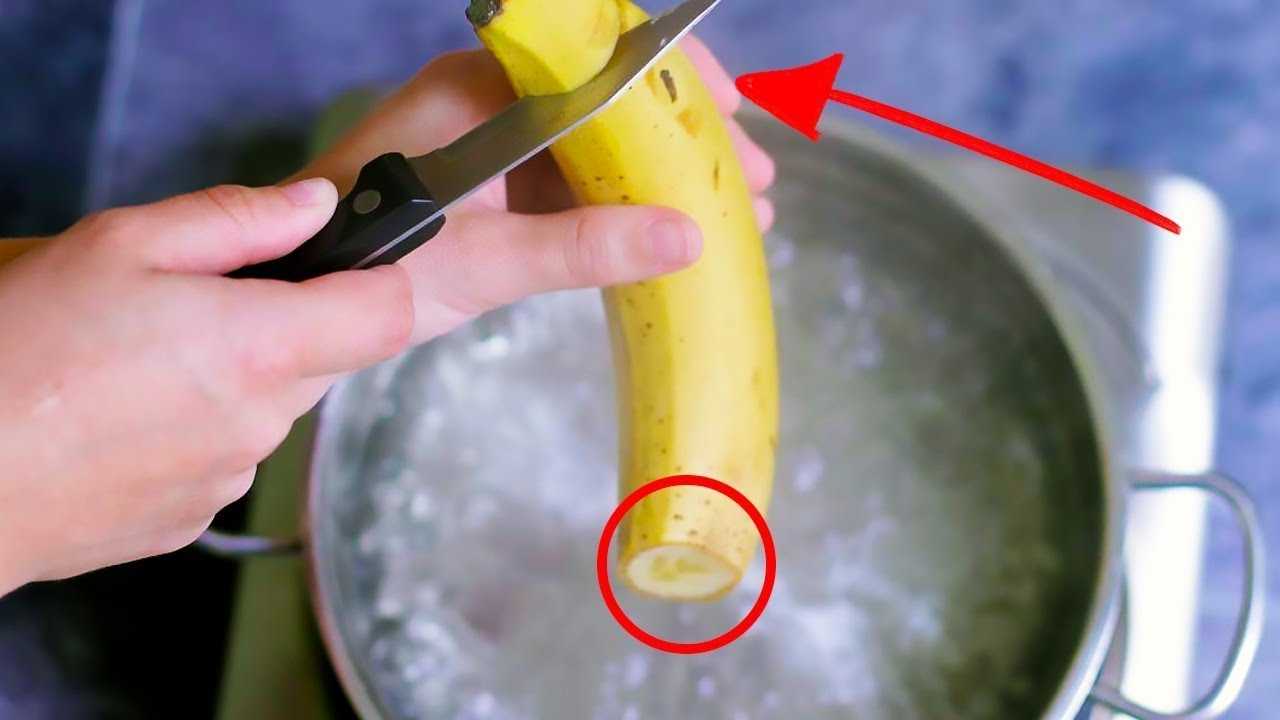 Съешь меня: 5 научных фактов о бананах