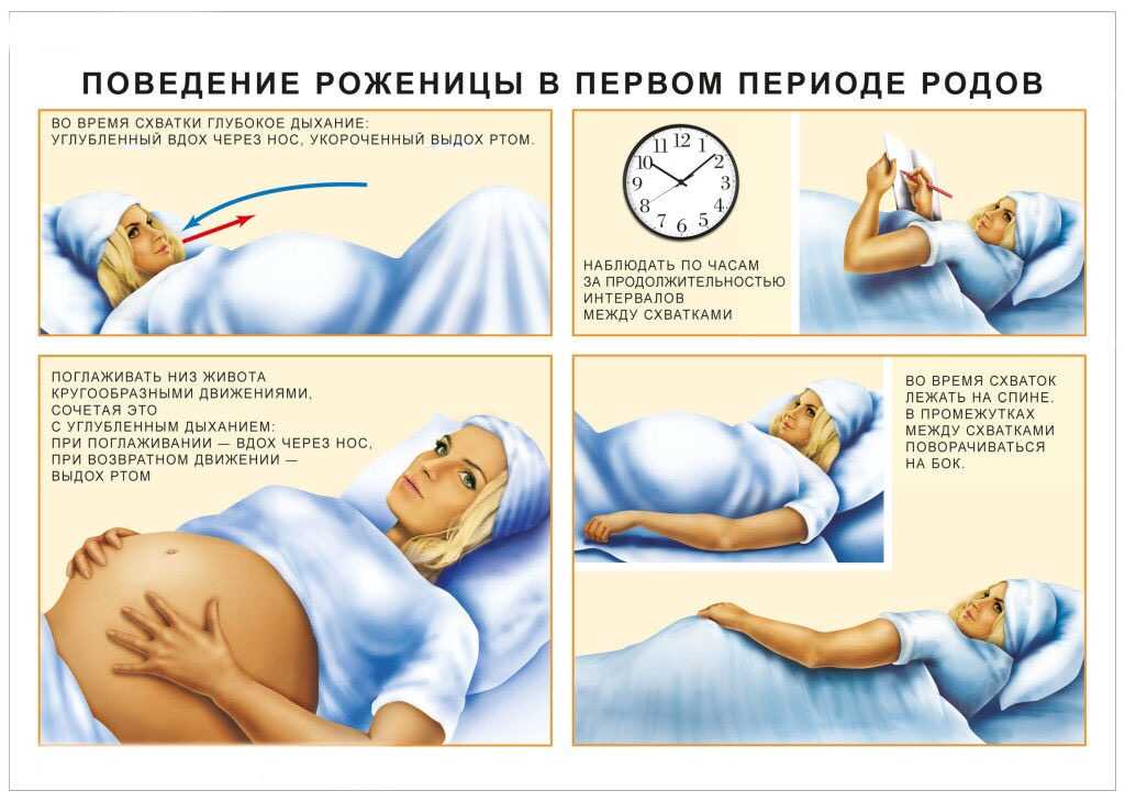 Перинатальная йога (йога для беременных) - timestudy.ru