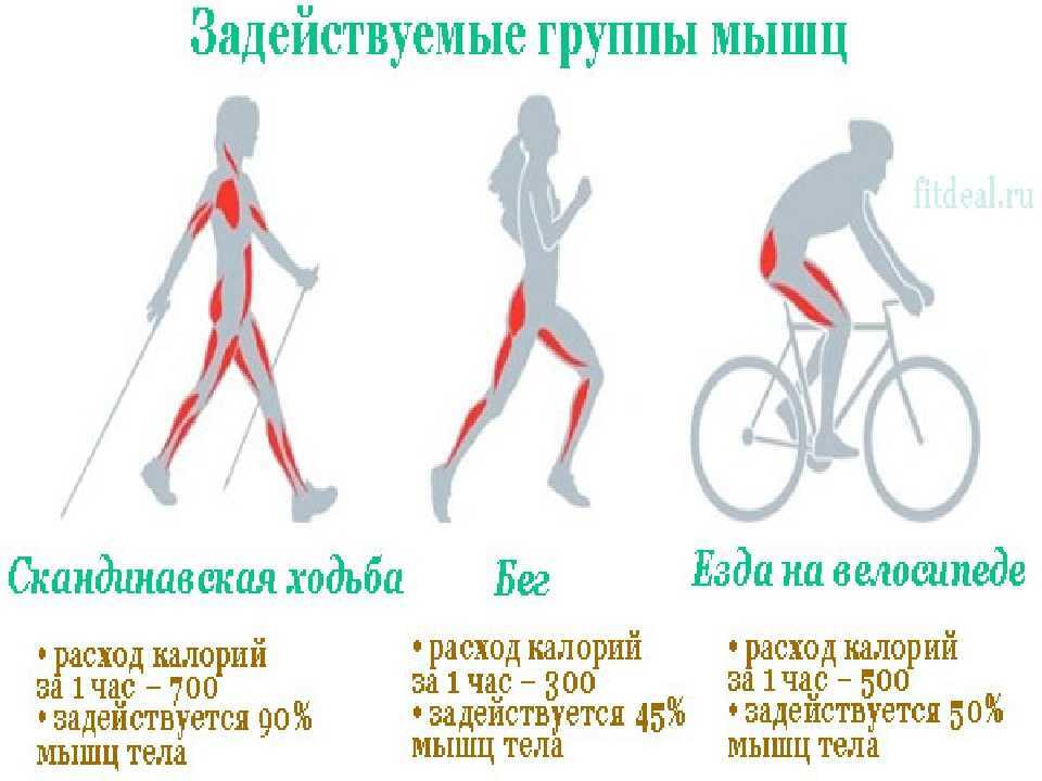 Езда на велосипеде для похудения - можно ли похудеть катаясь каждый день?
