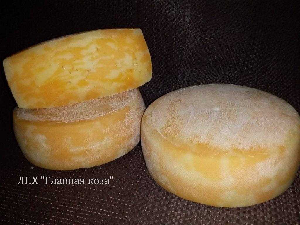 Как хранить сыр с плесенью (голубой, белой, красной) в холодильнике