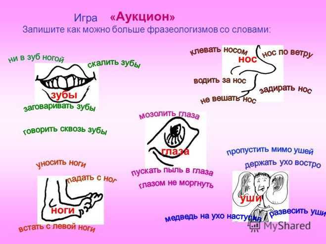 Фразеологизмы в русском языке