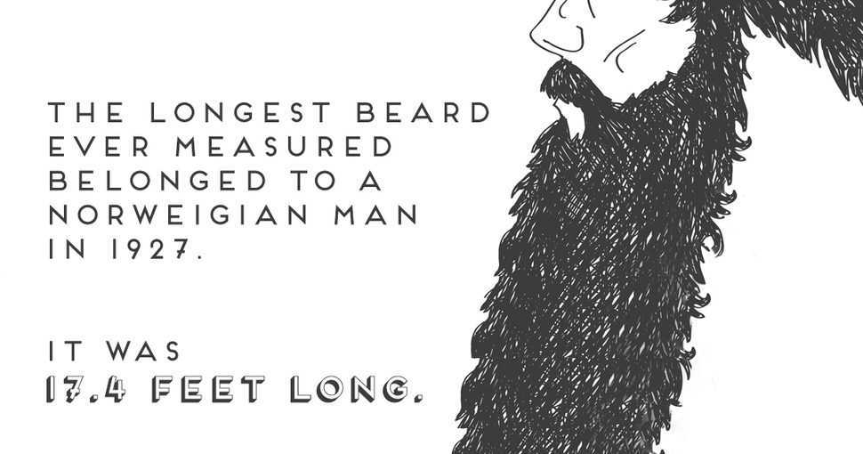 Как рассказать бороде о судьбе сталкеров бороде