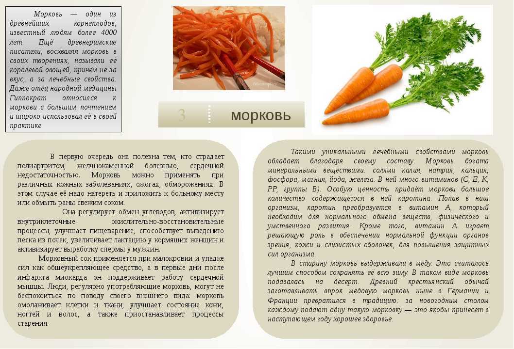 Можно л применять. Рассказ про морковь. Рассказать о морковке. Полезные факты о моркови. Доклад про морковь.