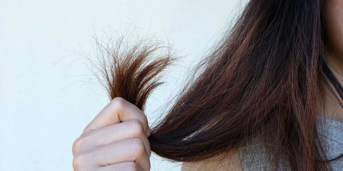 Ломаются волосы [что делать] - 5 причин, почему волосы ломкие с середины, по всей длине и у корней