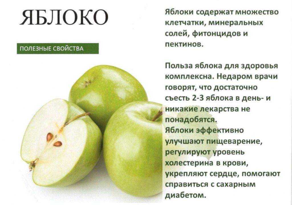 Яблоки: топ-11 полезных свойств для организма человека