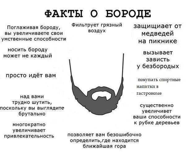 Что спросить про бороду