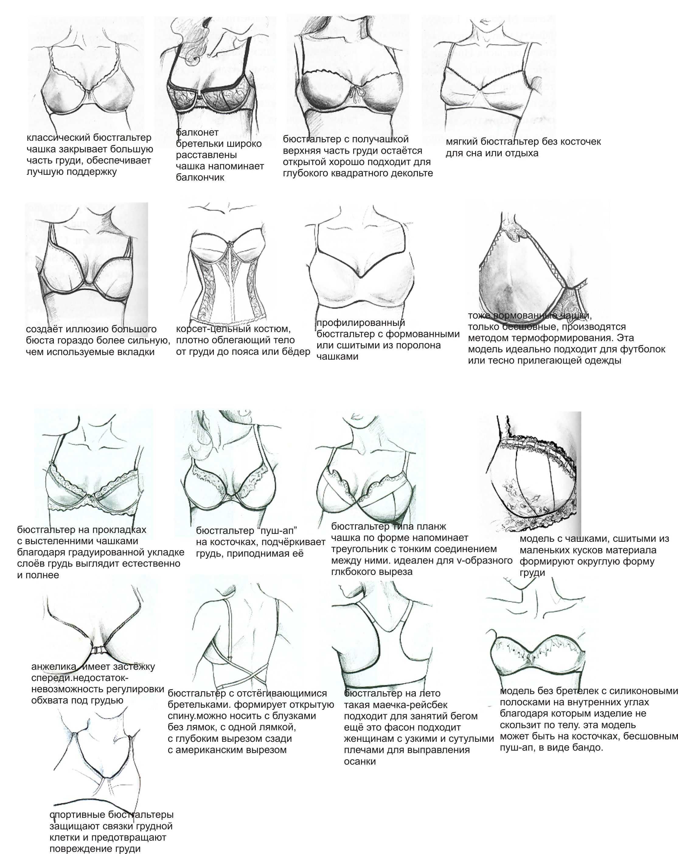 виды форм груди женщин фото 9