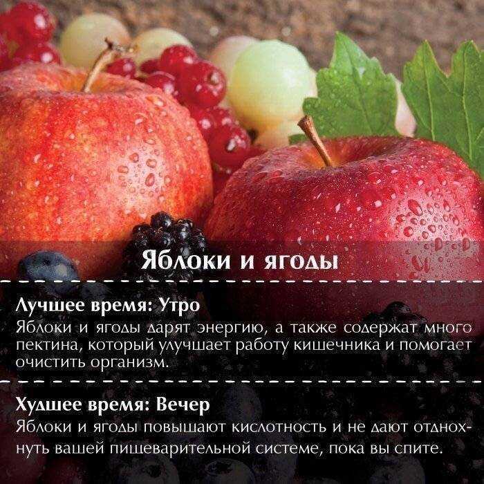 Яблоко натощак утром: польза и вред для здоровья