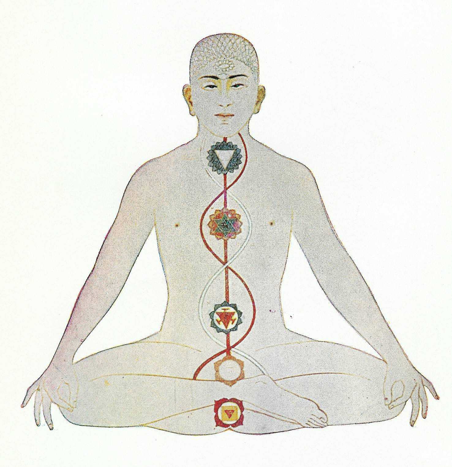 Сбалансируйте Муладхару – и почувствуете прилив энергии
