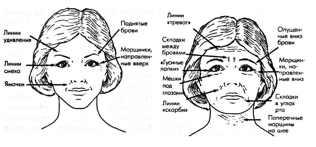 11 лба. Морщины между бровями физиогномика. Схема морщин на лице. Физиогномика лица морщины на лбу. Складки на лице физиогномика.