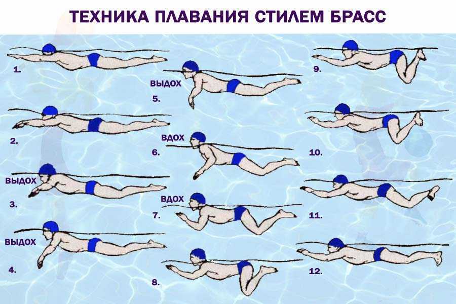 Как научиться плавать? самоучитель по плаванию для начинающих взрослых - tony.ru