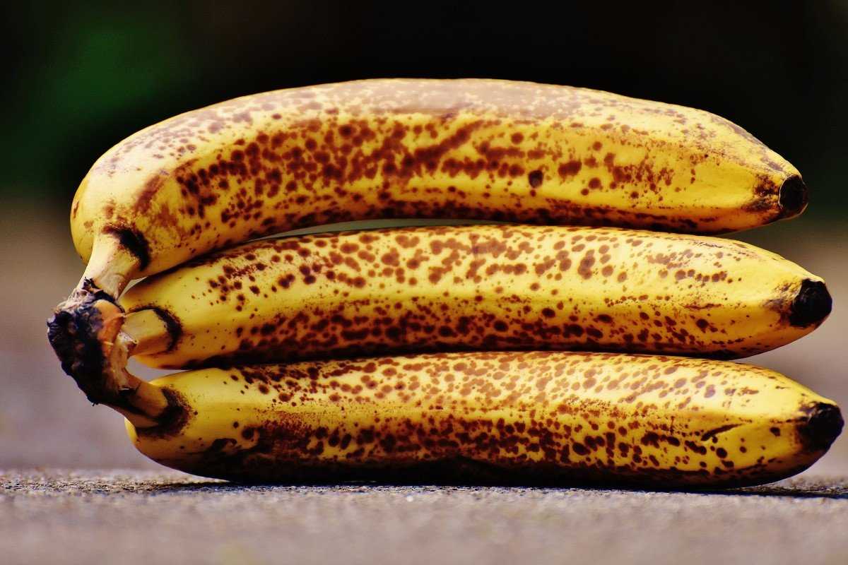 Вы любите бананы Наверняка вы выбираете в супермаркетах идеально гладкие, желтые или зеленые плоды К сожалению, многие люди даже не подозревают, что именно употребление в пищу бананов с черными пятнами является очень полезным для здоровья Итак, что же про