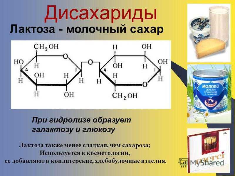Фруктоза продукт гидролиза. Глюкоза, сахароза, лактоза и мальтоза. Гидролиз лактозы. Лактоза химическая структура. Лактоза дисахарид.