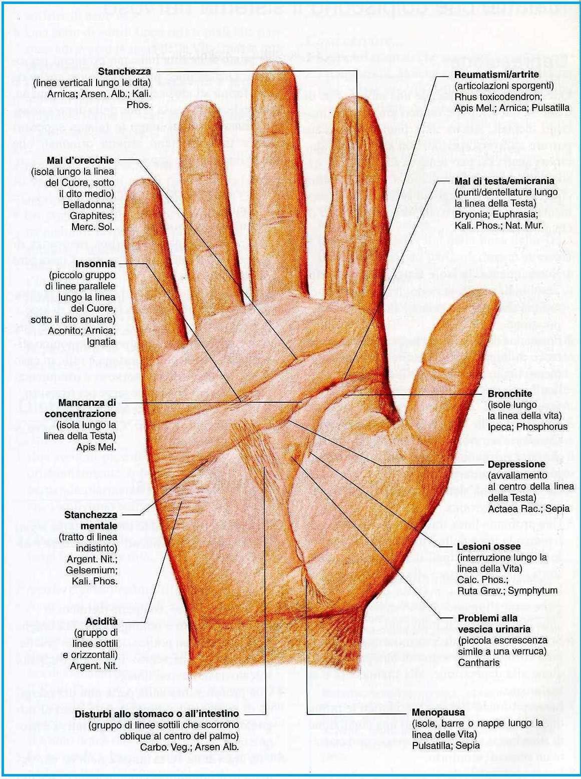 Характер по пальцам рук: психологический тест