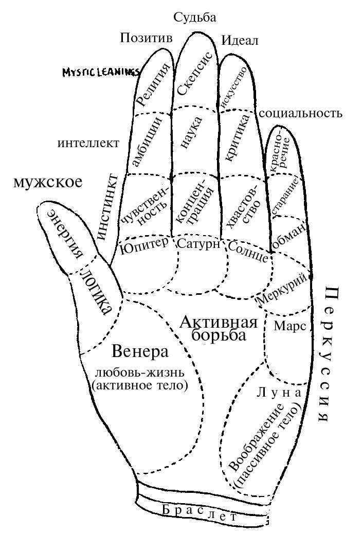 Как определить характер человека по форме ногтей и рук