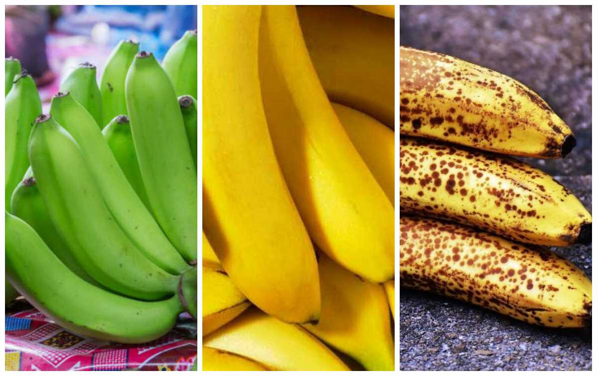 Чем полезны зеленые бананы