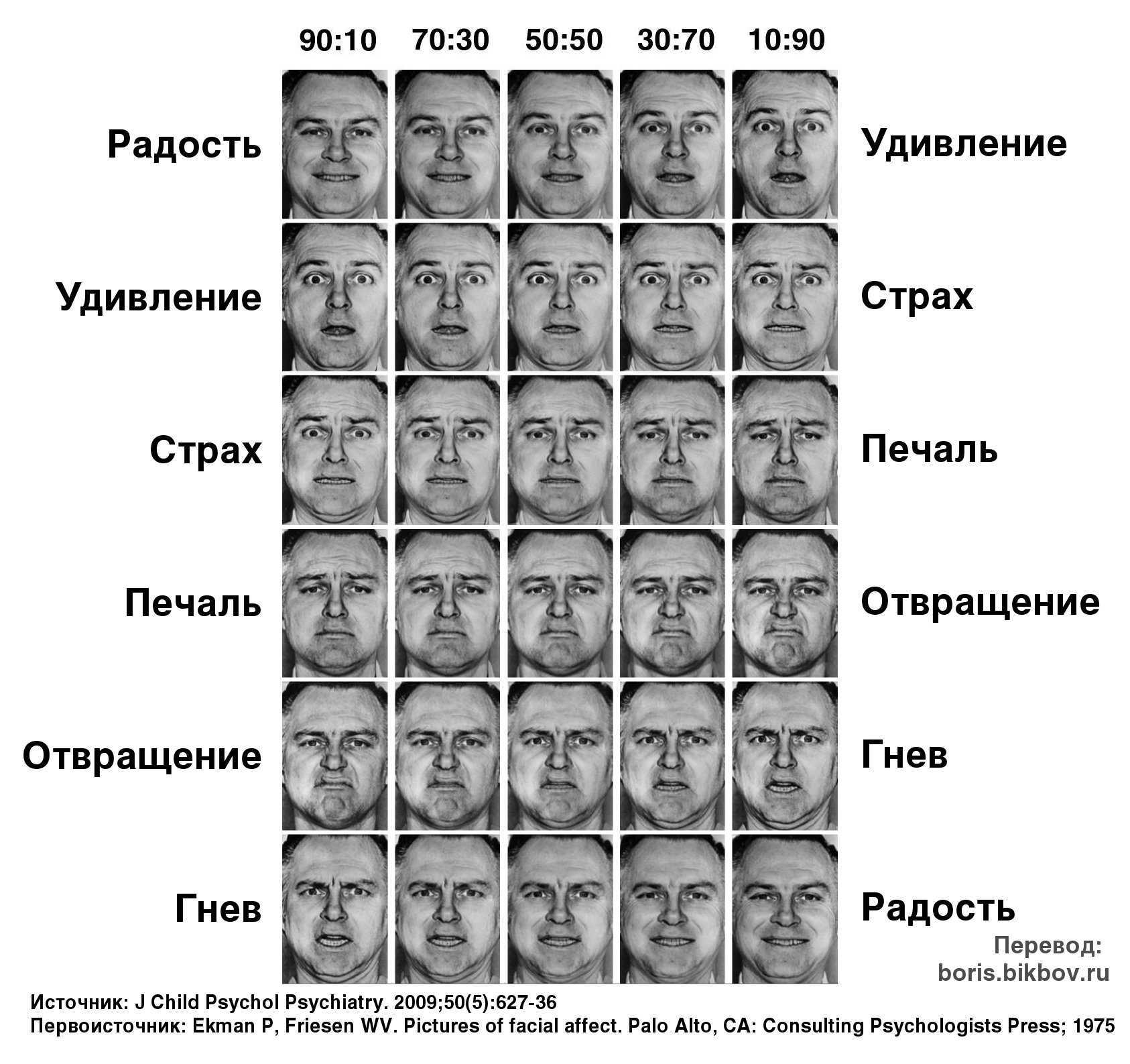 Как читать характер человека по чертам лица — физиогномика. физиогномика мужчины и женщины по форме лица: примеры с описанием, фото