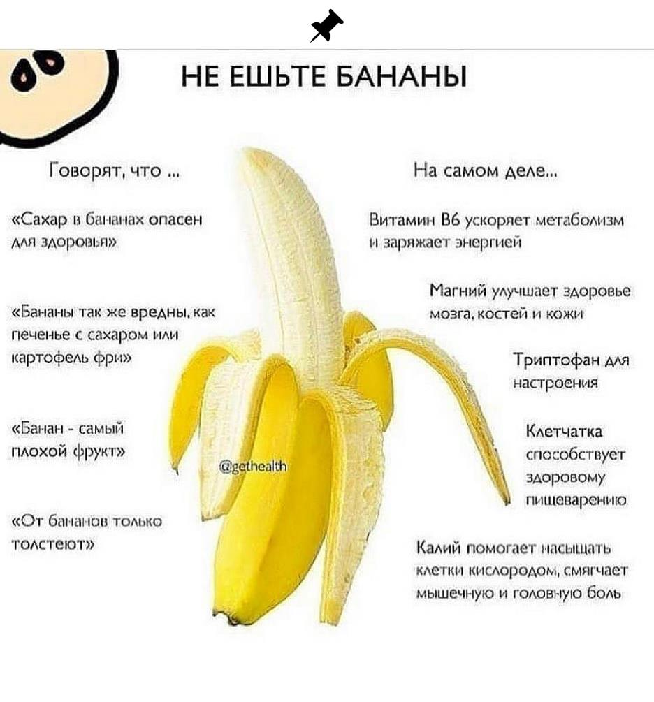 Как и где растут бананы, описание бананового дерева, виды фрукта