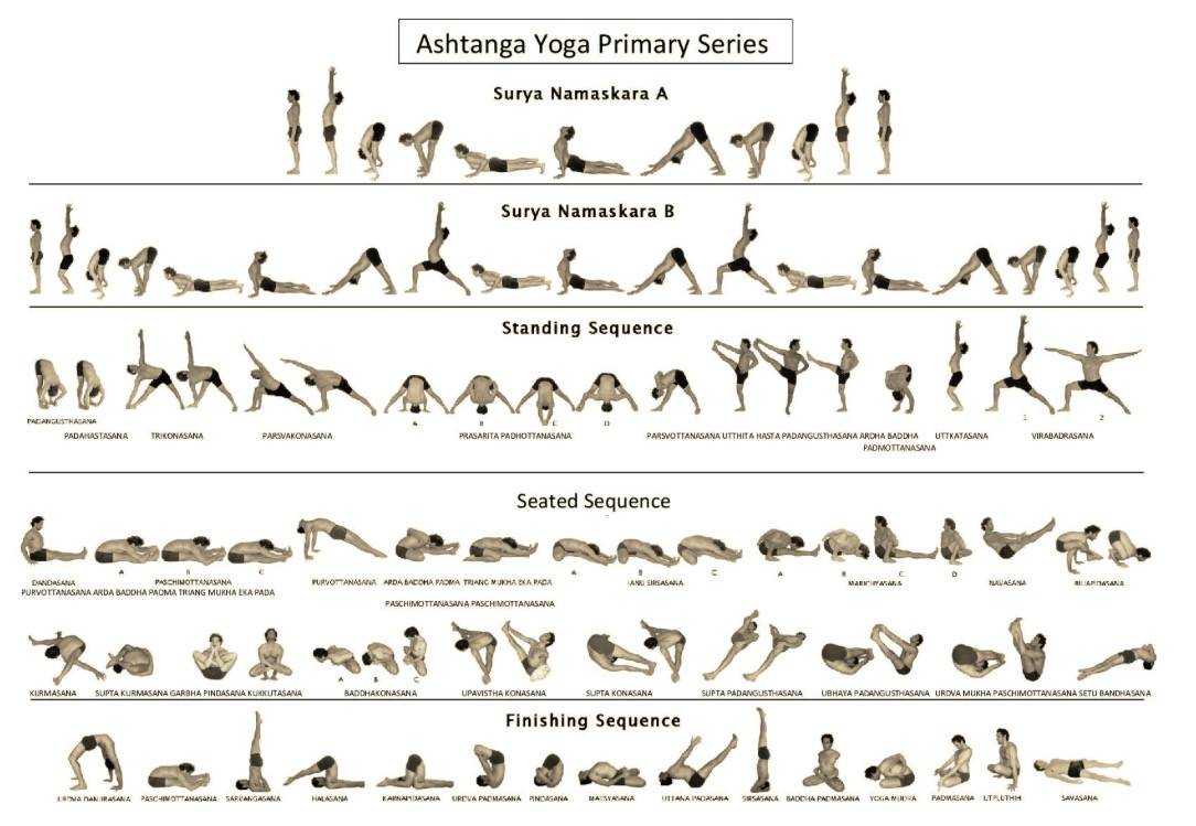 Йога какие виды. Аштанга йога 1 ступень. Аштанга-виньяса йога для начинающих. Аштанга йога для начинающих упражнения.