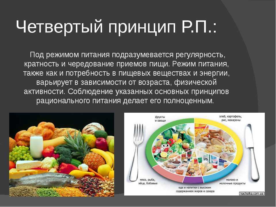 Пища и пищевой режим