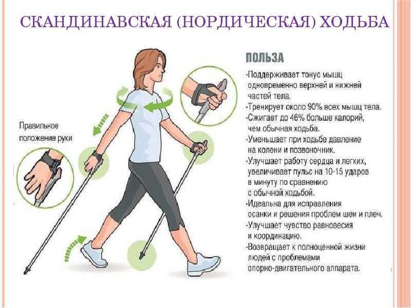 4 упражнения для коррекции переднего наклона таза | kinesiopro