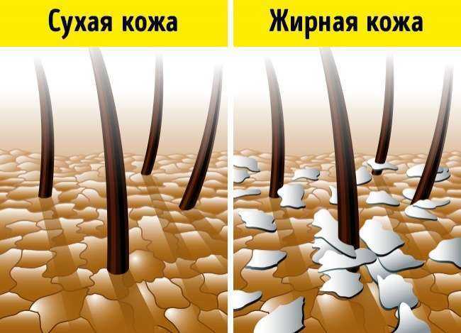 Семнадцать мифов о здоровом питании. часть 2 | fpa