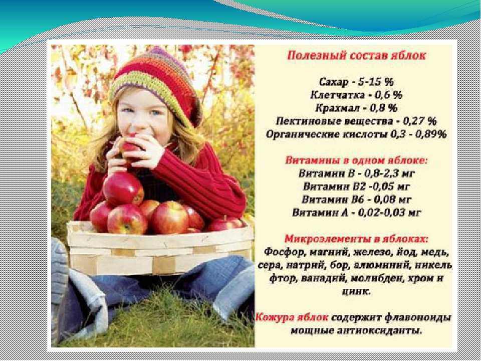 Разгрузочный день на яблоках: польза для организма, правила проведения, варианты детокс-дней, противопоказания