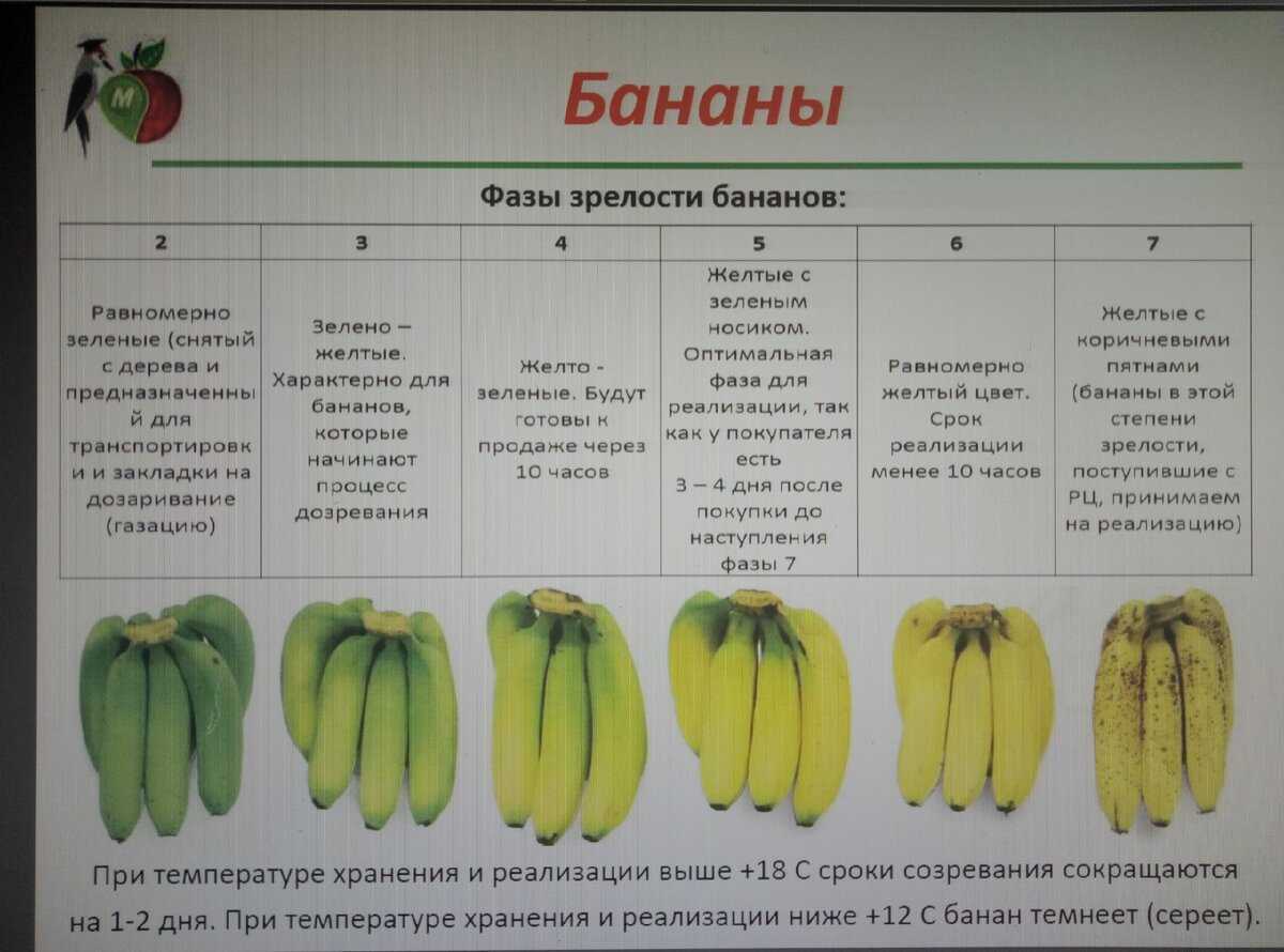 Как доставляют бананы в россию? - ваша онлайн-энциклопедия