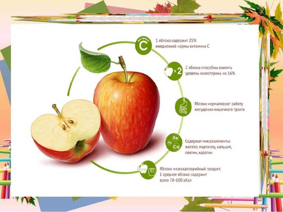 Яблоки: польза и вред для здоровья