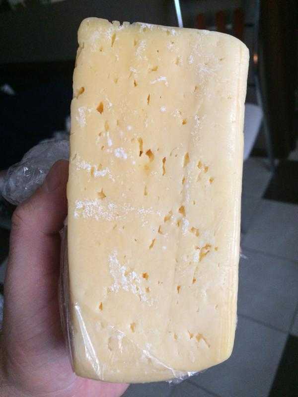 Как определить испортился ли сыр с плесенью?