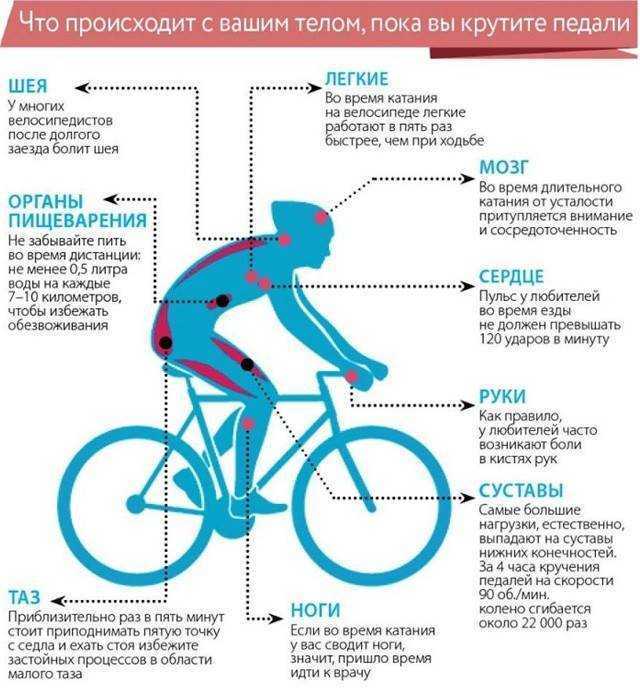 Езда на велосипеде как вид активного отдыха. польза и вред езды на велосипеде