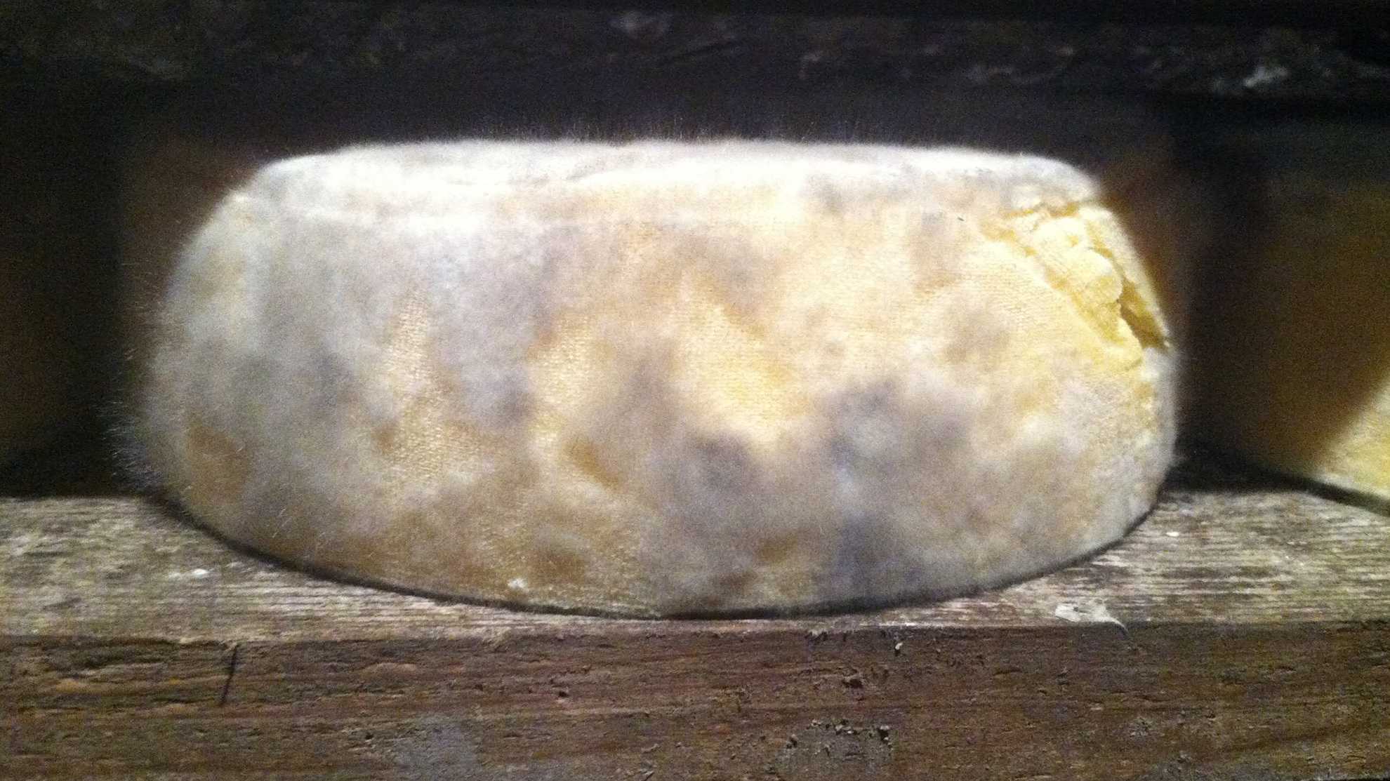 Как подольше сохранить сыр в холодильнике свежим?