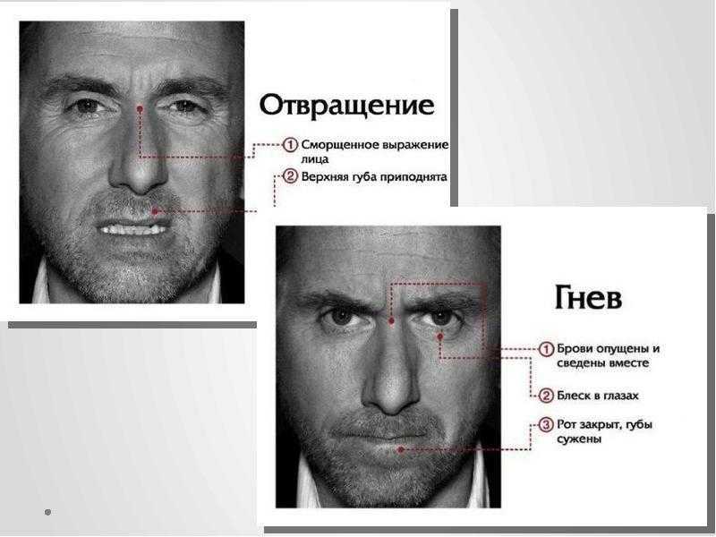 Как определить характер по чертам лица. физиогномика с картинками