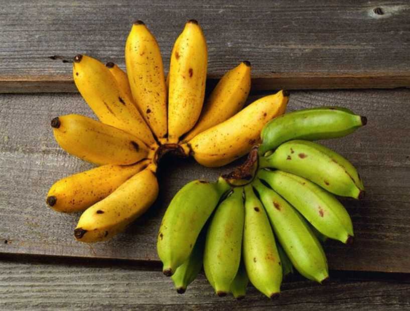 Какой банан полезнее — желтый или зеленый: особенности, польза и вред для организма