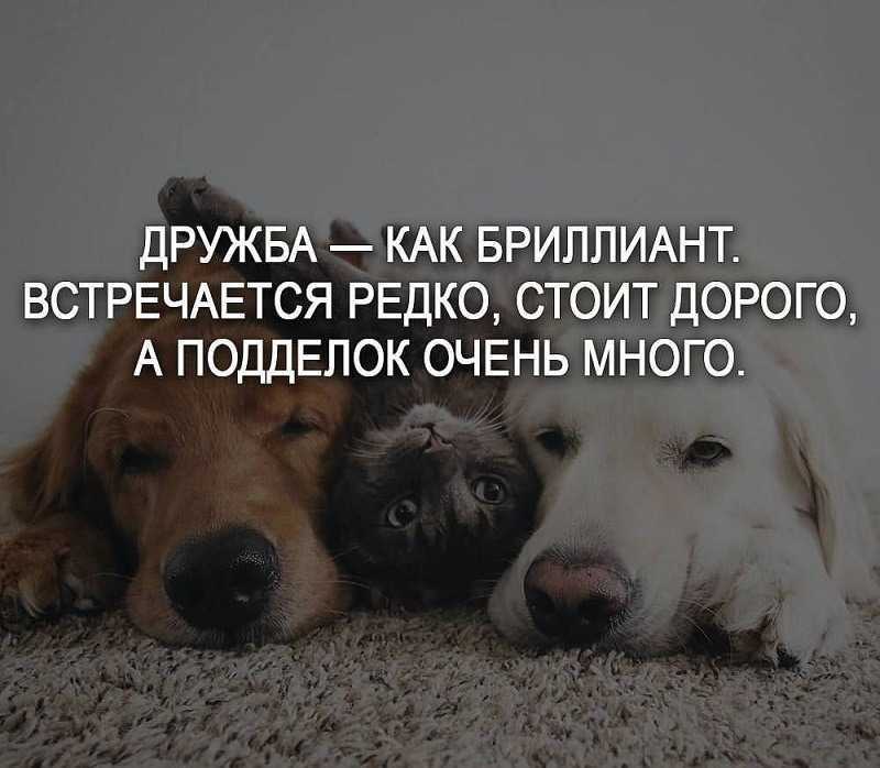 Метод хоопонопоно: 5 основных принципов гармонизации взаимоотношений