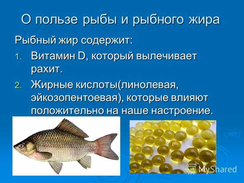 Какая женщина нужна рыбам. Полезные качества рыбы. Польза рыбы. Рыба чем полезна для организма. Полезность рыбы для организма.