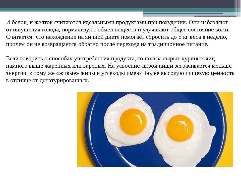 Сколько яиц должно быть в рационе / польза и вред продукта – статья из рубрики "что съесть" на food.ru
