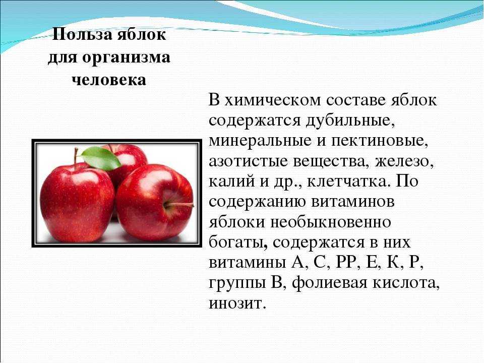 Яблоки – польза и вред, доказанные диетологами
