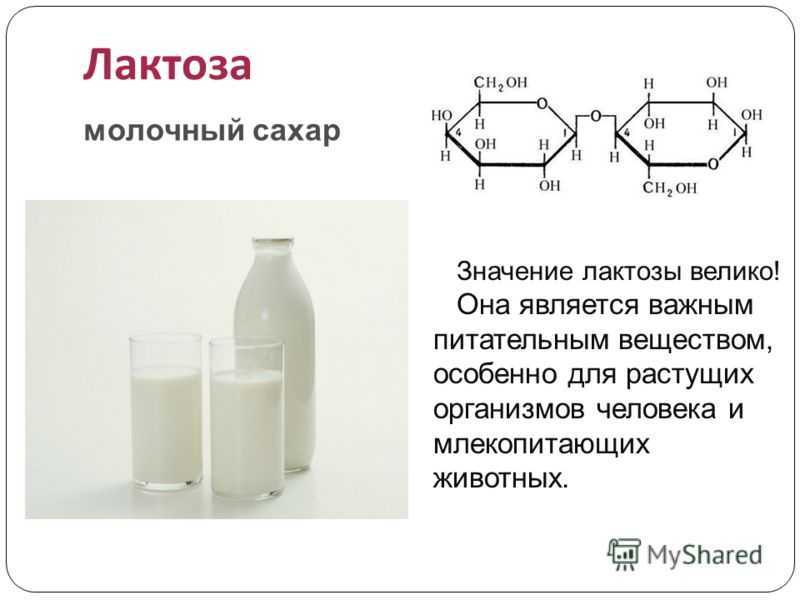 Лактоза биологическая роль. Лактоза ( молочный сахар) функции. Биологическая роль лактозы биохимия. Биологическая роль лактозы в химии. Биологическая роль лактозы кратко.