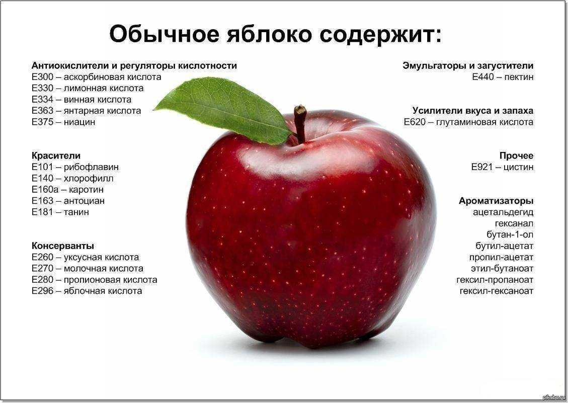 Полезные свойства яблок для организма