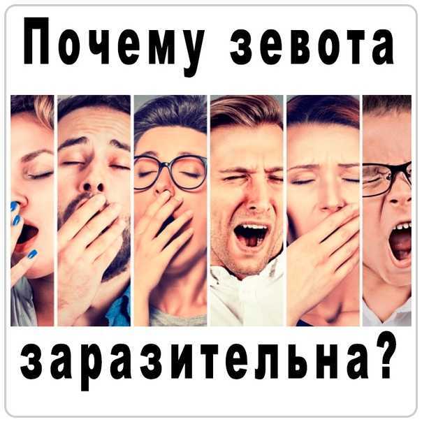 Почему люди зевают друг за другом и не могут удержаться