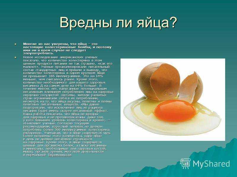 Сырые яйца — 5 фактов о пользе и вреде для организма, можно ли их пить натощак